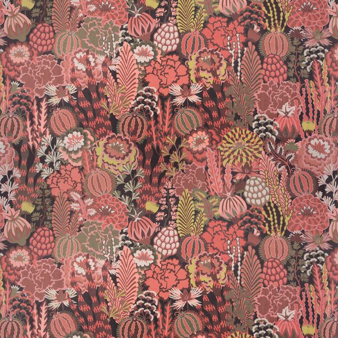Hovedbilde CHIVASSO - CURIOUS WONDERLAND
